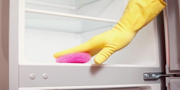 How Are Medical Freezers Organized?